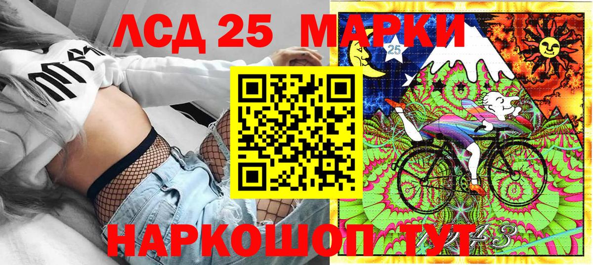 Наркотические марки 1,5мг  Наркотические марки 1,5мг  Бердск  Марки 25I-NBOMe  где купить наркотик  Вход с VPN 