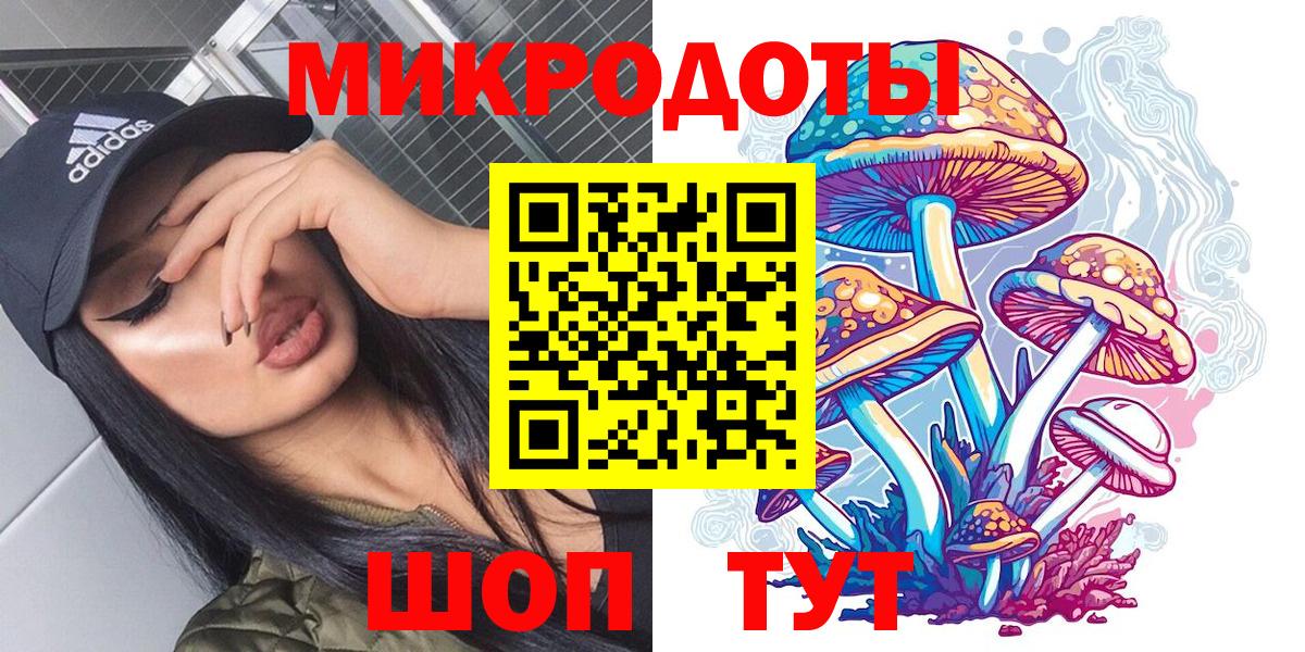 Псилоцибиновые грибы Psilocybe Бердск