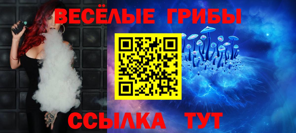 Галлюциногенные грибы мухоморы  Галлюциногенные грибы Psilocybe  Бердск  Вход с VPN 