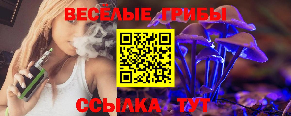 Метамфетамин  Alpha-PVP СОЛЬ   ЭКСТАЗИ  Бердск  Гашиш  КОКАИН  Меф кристаллы  Канабис  Вход с VPN 